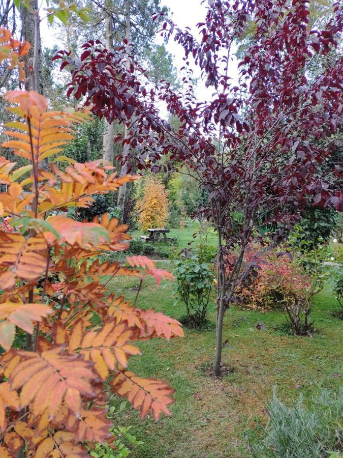 Apartamentos Bajo Cero Villa La Angostura Exteriör bild