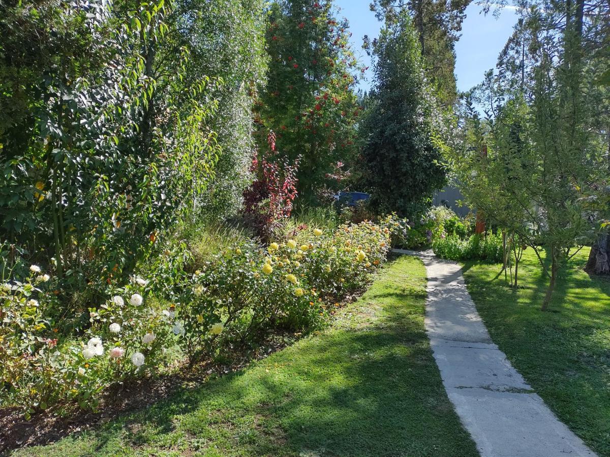 Apartamentos Bajo Cero Villa La Angostura Exteriör bild